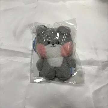 LINE FRIENDS ZB1 고누크 고니니 봉제 인형 키링