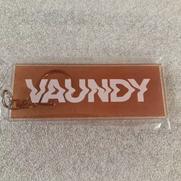 Vaundy replica HMV 혜택 오리지널 아크릴 키링