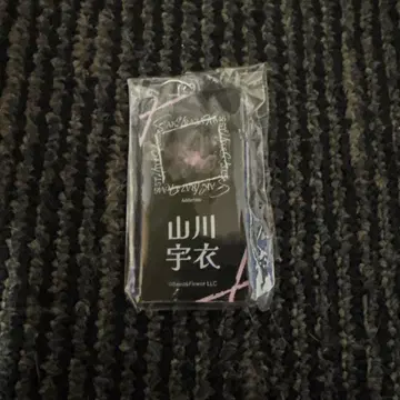 산카와 우이