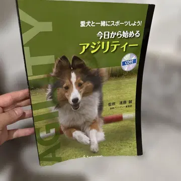 오늘부터 시작하는 민첩성 애견과 함께 스포츠를 즐기자!