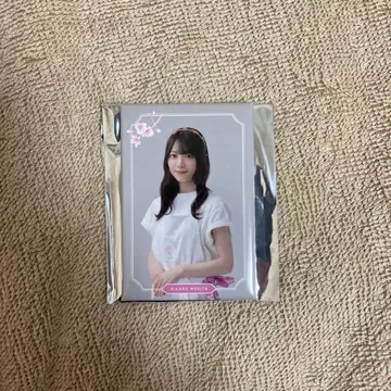 사쿠라자카 카페 마그넷