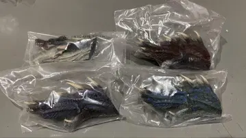 제일복권 몬스터 헌터 20주년 기념