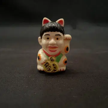 다케시 고양이