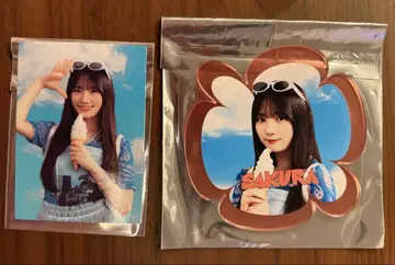 노기자카 카페 2025 카와사키 사쿠라 코스터 + 트레이딩 카드 세트