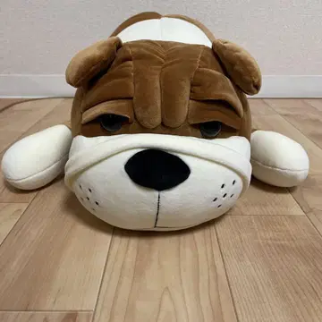 불독 누워있는 봉제 인형