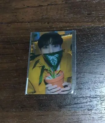 BTS PTD 정국 트레이딩 카드 weverse japan 혜택