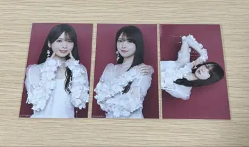 노기자카46 육교 미니 브로마이드 츠츠이 아야메 컴프