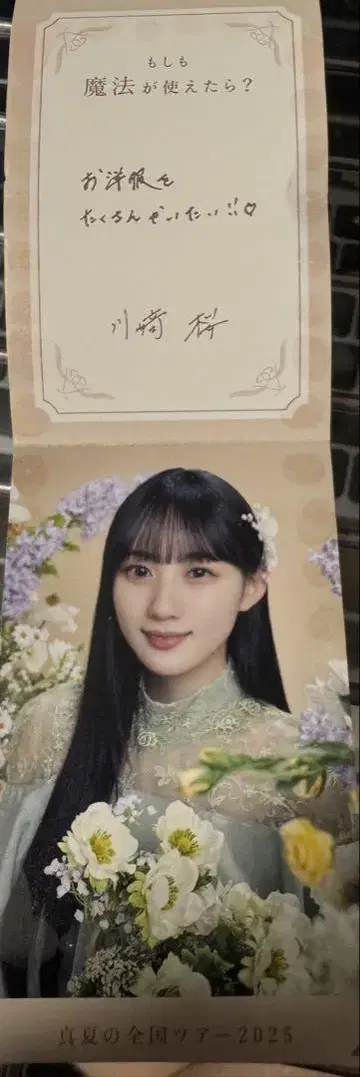 NOGI 넘기기 한여름 전국 투어 2025