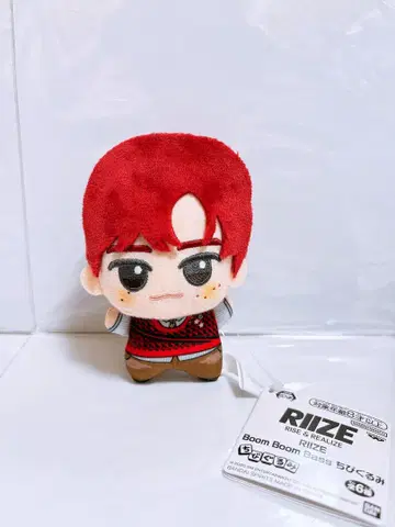RIIZE Boom Boom Bass SD 인형 라이즈 소희 봉제 인형