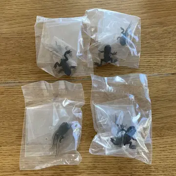 개구리 올챙이 피규어 세트