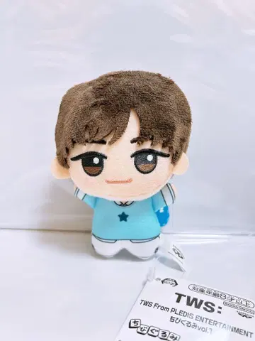 TWS 트와이스 SD 인형 JIHOON 지훈