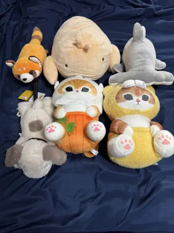동물 캐릭터 봉제 인형 세트 모후산도 스누피 (걸레)