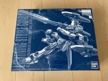 MG 1/100 라이트닝 스트라이크 건담 Ver.RM