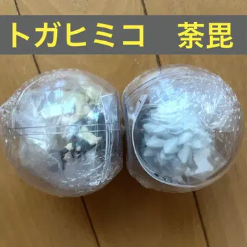 나의 히어로 아카데미아 히로아카 코로코레! 토가 히미코 다비