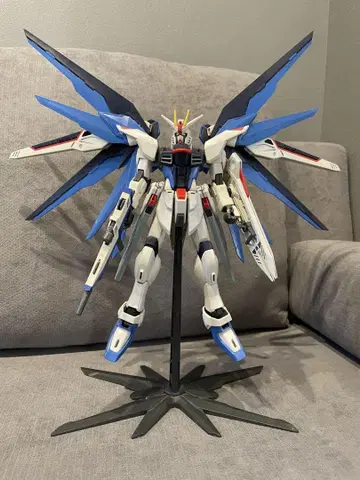 MG 1/100 프리덤 건담 (키라 야마토 기) SEED