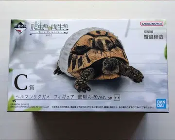제일복권 파충류&양서류 vol.2 헤르만 육지거북