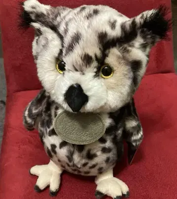 [ OWL ] 올빼미 봉제 인형