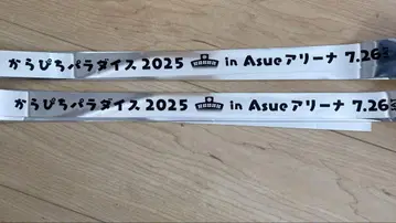 카라피치 파라다이스 2025 Asue 아레나 은색 테이프