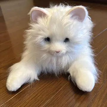 데지 어리광쟁이 아기 고양이 정크제품