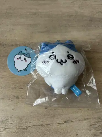문 얼굴 하치와레 개체 작은 편