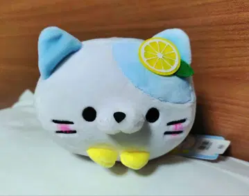 모찌후와 데굴데굴 냥코 지역 봉제 인형 세토우치 레몬냥 세토우치