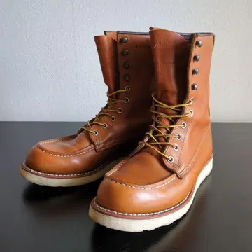 9877 US 7D 골드 러셋 세쿼이아