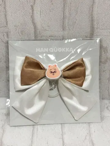 스키즈 straykids 한 한쿼카 라이트 스틱 리본