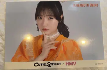 카와모토 에루 A3 패널