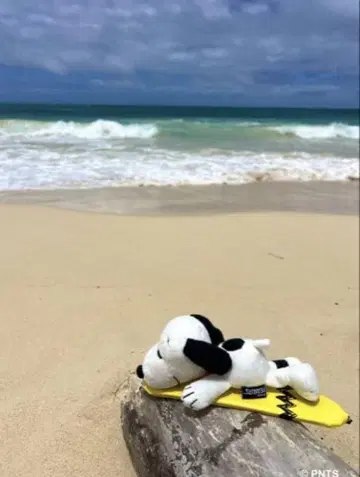 SNOOPY's SURF SHOP 키링 HSNP-22008