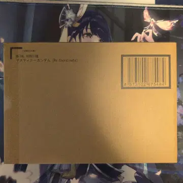 METAL ROBOT혼 데스티니 건담 Re:Coordinate
