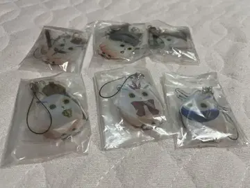 테일즈 오브 아라이즈 풀루 아크릴 스트랩