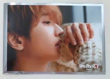 Nissy 호카포 카페 혜택 카드