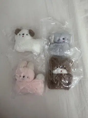 니코야마 포케 코알라 강아지 토끼 아기곰