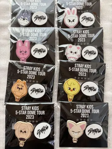 straykids 5-STAR DOME TOUR skzoo 클립