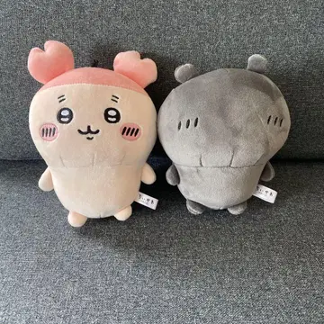 치이카와 (먼작귀) 헌책방