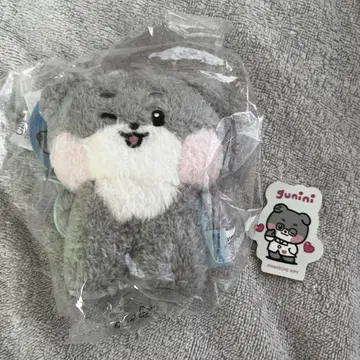 고니니 봉제 인형 키링 메시지 ZEROBASEONE 박건욱