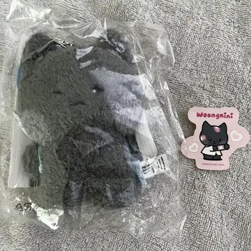 웅이니 봉제 인형 키링 메시지 ZEROBASEONE 김지웅