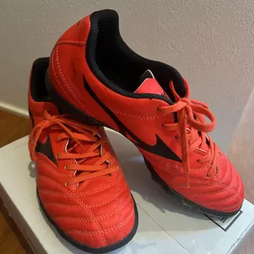 Mizuno MONARCIDA NEO 트레이닝화 23.5