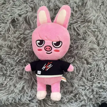 Stray kids 돼끼 봉제 인형 공식