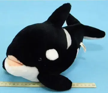 가모가와 씨월드 수족관 / 오카미 봉제 인형 [약 38cm]