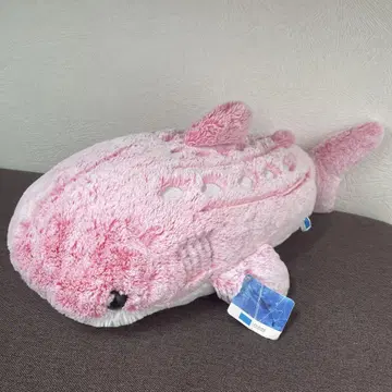 오키나와 츄라우미 수족관 진베이 상어 봉제 인형