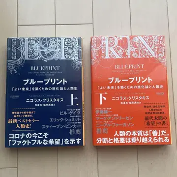 블루프린트 [좋은 미래]를 쌓기 위한 진화론과 인류사 상, 하 초판