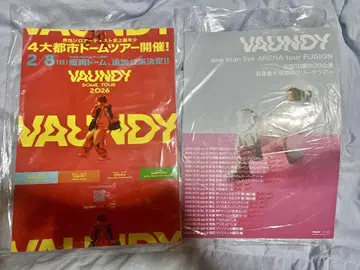 VAUNDY 입장자용 플라이어 세트