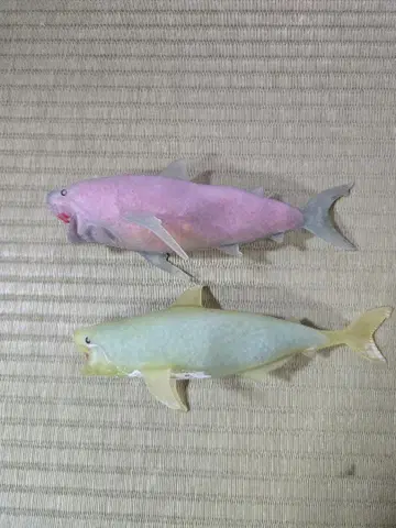 샤크 어택, 앤드코 2체