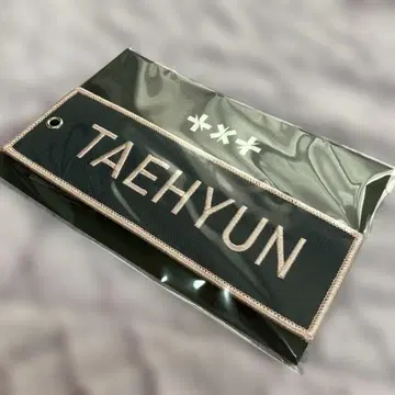 태현 이름 와펜 키링