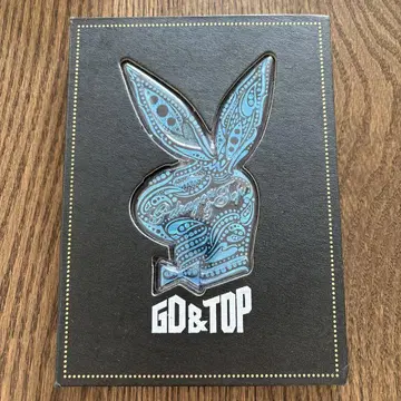 GD와 TOP