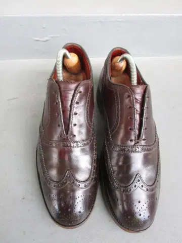 Alden 974 25.5 알든 코도반