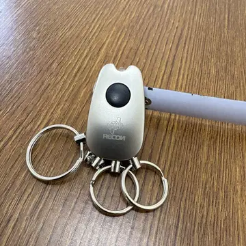 초기 Lee 네이비 키링