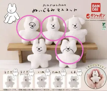하루짱 봉제 인형 마스코트 가챠가챠 haruchan