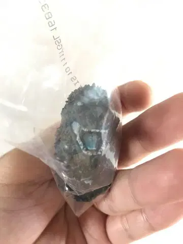 고질라 마이너스 원 제일복권 마그넷